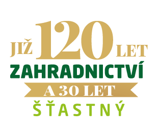 120 LET-01